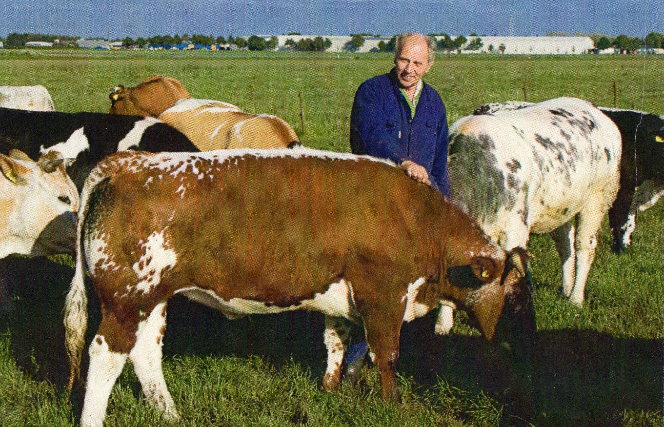 Jan van der Schoot-1